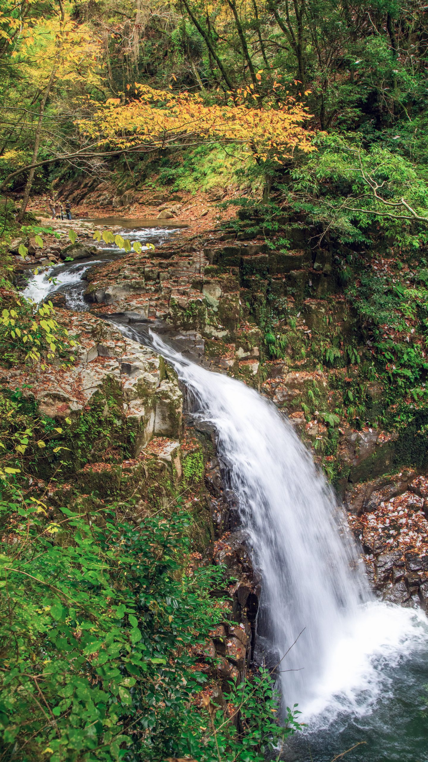 無料スマホ壁紙 不動滝の紅葉。AndroidとiPhoneに対応した4K高画質の無料待ち受け画像。三重県名張市の赤目四十八滝で撮影したフリー写真素材