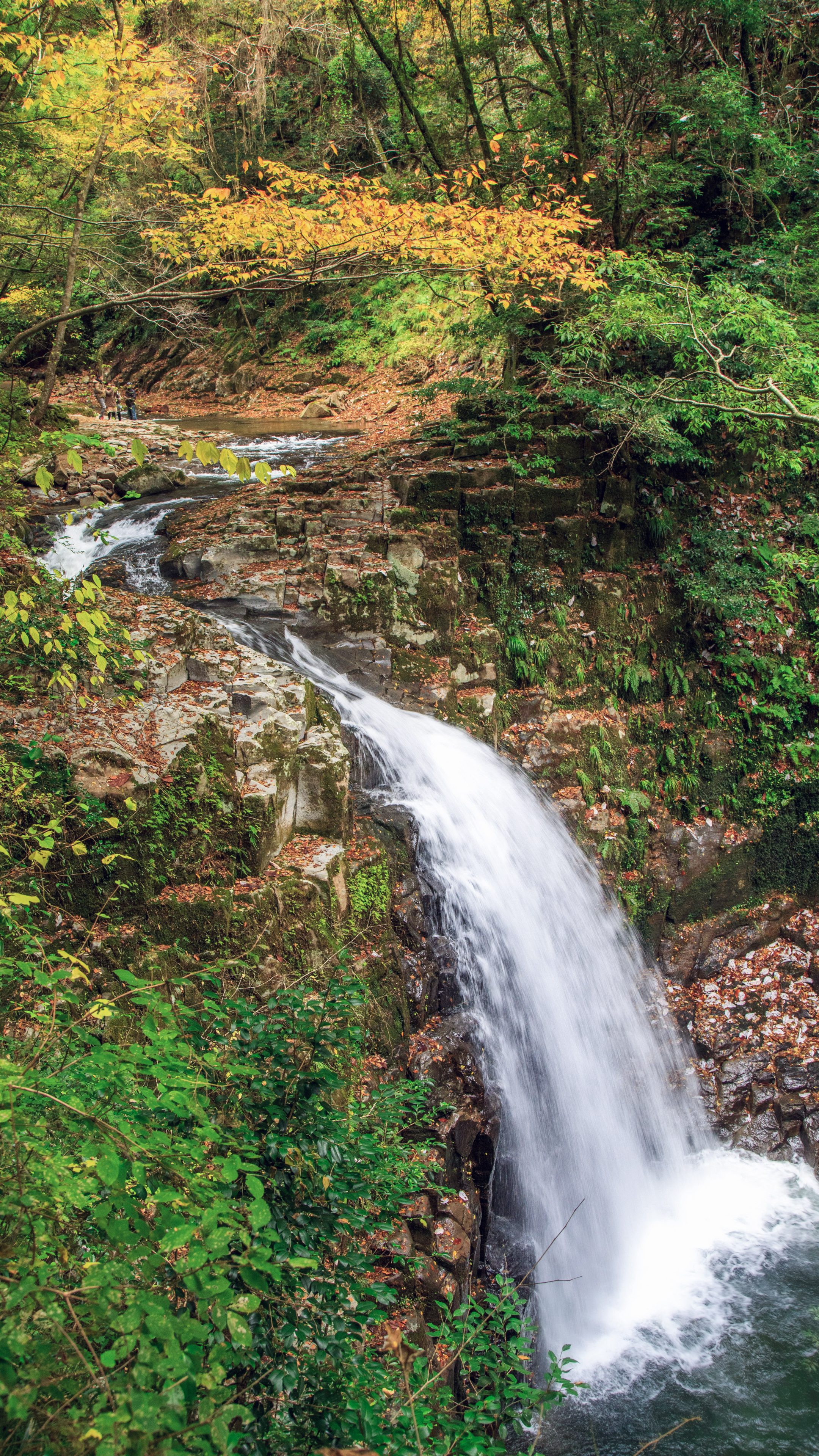 無料スマホ壁紙 不動滝の紅葉。AndroidとiPhoneに対応した4K高画質の無料待ち受け画像。三重県名張市の赤目四十八滝で撮影したフリー写真素材