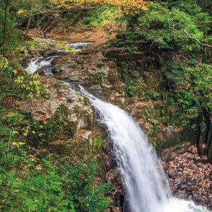 赤目四十八滝の写真「不動滝の紅葉」