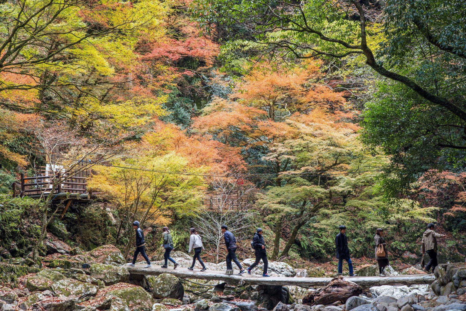 赤目四十八滝の写真「石橋の周りに紅葉がいっぱい」