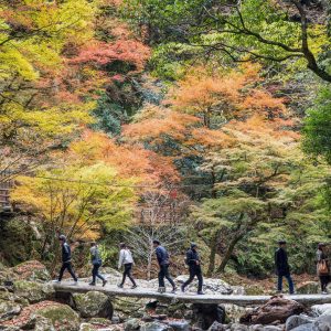 赤目四十八滝の写真「石橋の周りに紅葉がいっぱい」