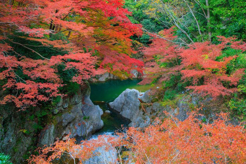 河内渓谷の写真「巨岩と紅葉」