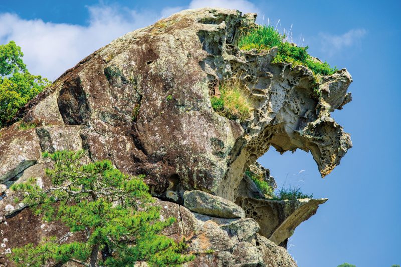 獅子岩の写真「獅子岩の獅子顔」