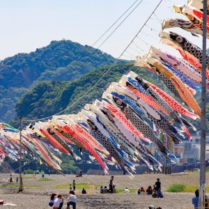 約250匹の鯉のぼり