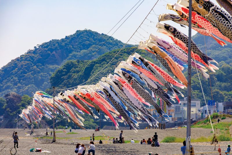 七里御浜の写真「約250匹の鯉のぼり」
