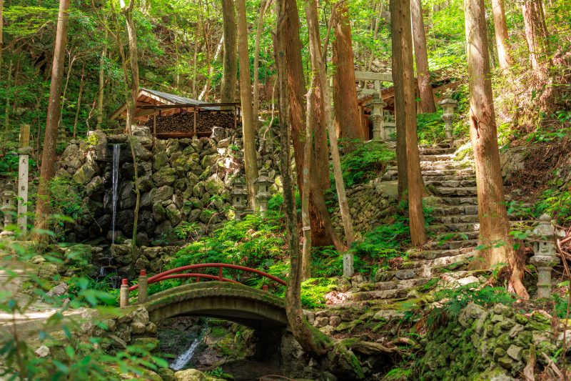天の岩戸（恵利原の水穴）の写真「木漏れ日に照らされる参道」