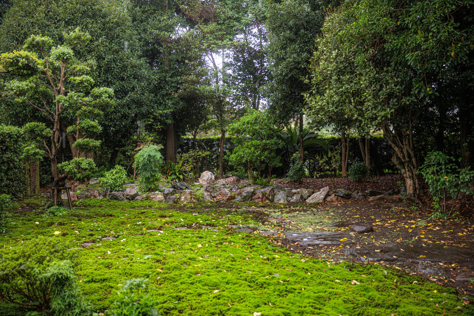 無料壁紙 雨でしっとりと映る庭園。PCとデスクトップ壁紙に最適な4K高画質の無料壁紙。三重県玉城町の玄甲舎で撮影したフリー写真素材