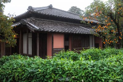 無料壁紙 茶畑に包まれる家屋。PCとデスクトップ壁紙に最適な4K高画質の無料壁紙。三重県玉城町の玄甲舎で撮影したフリー写真素材