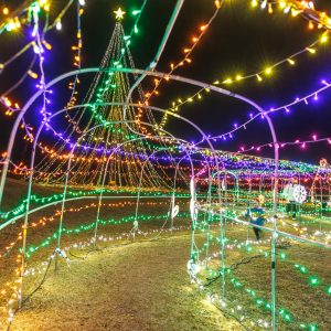 無料壁紙 子供も大人も通れる長い光のトンネル。PCとデスクトップ壁紙に最適な4K高画質の無料壁紙。三重県紀宝町の光の祭典 in 紀宝で撮影したフリー写真素材