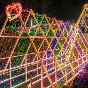 光の祭典 in 紀宝のフリー素材・壁紙