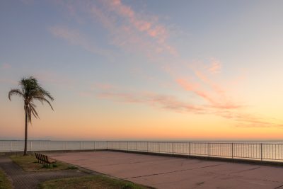 無料壁紙 遊歩道にあるヤシの木とベンチと朝焼け。PCとデスクトップ壁紙に最適な4K高画質の無料壁紙。三重県津市の津エアポートラインで撮影したフリー写真素材