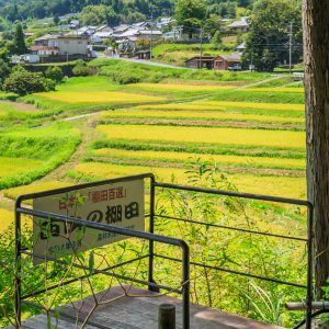 西山の棚田の写真「展望台」