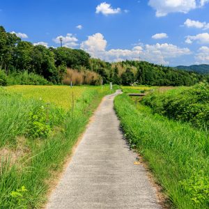 棚田の遊歩道