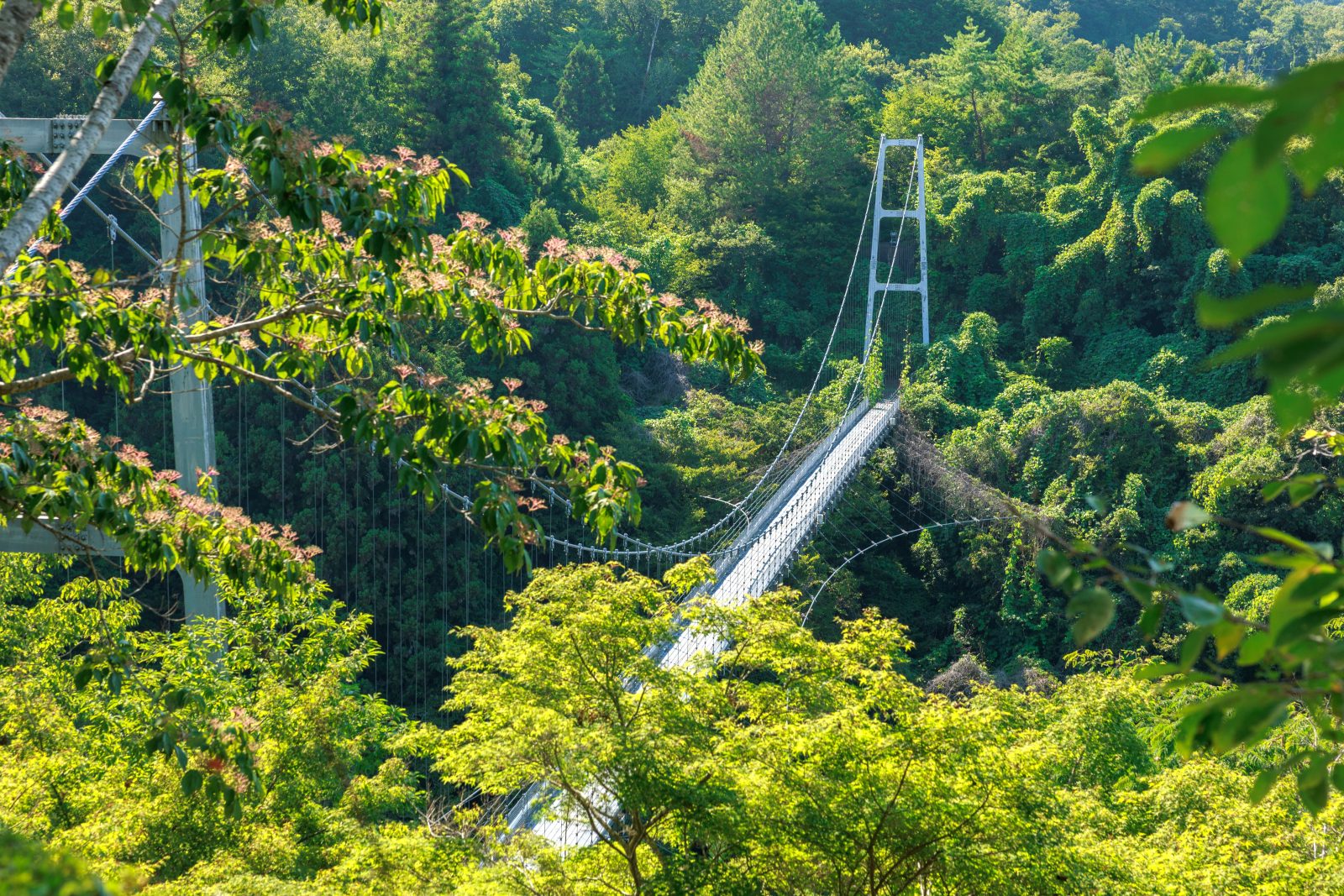 岩倉峡公園の写真「体験学習の丘の見晴台から眺める岩倉峡しあん橋」