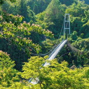 無料壁紙 体験学習の丘の見晴台から眺める岩倉峡しあん橋。PCとデスクトップ壁紙に最適な4K高画質の無料壁紙。三重県伊賀市の岩倉峡公園で撮影したフリー写真素材