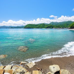 遊泳エリアの全体
