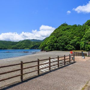 監視近くから海を眺める