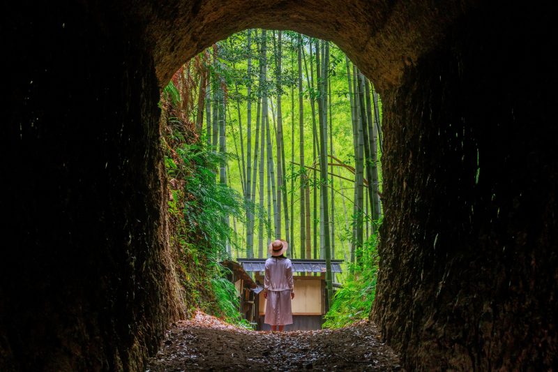 フリー写真素材「まるでジブリの世界」
