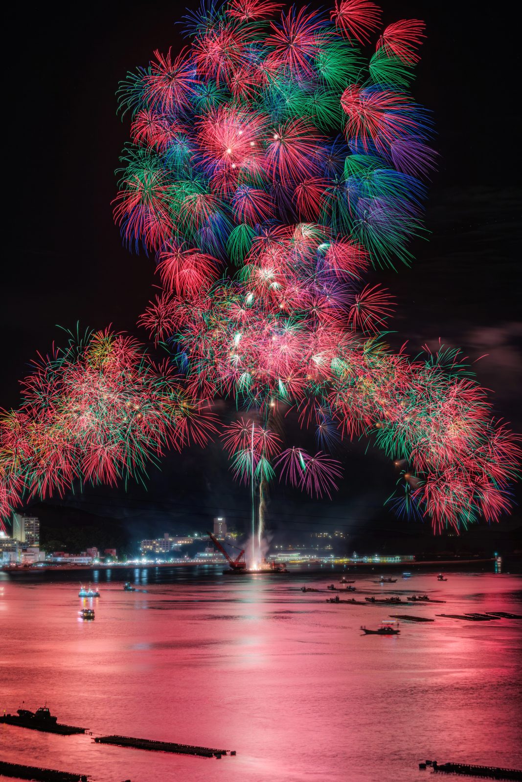 鳥羽みなとまつりの写真「2025年の彩色千輪菊」