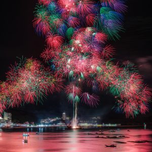 鳥羽みなとまつりの写真「2025年の彩色千輪菊」