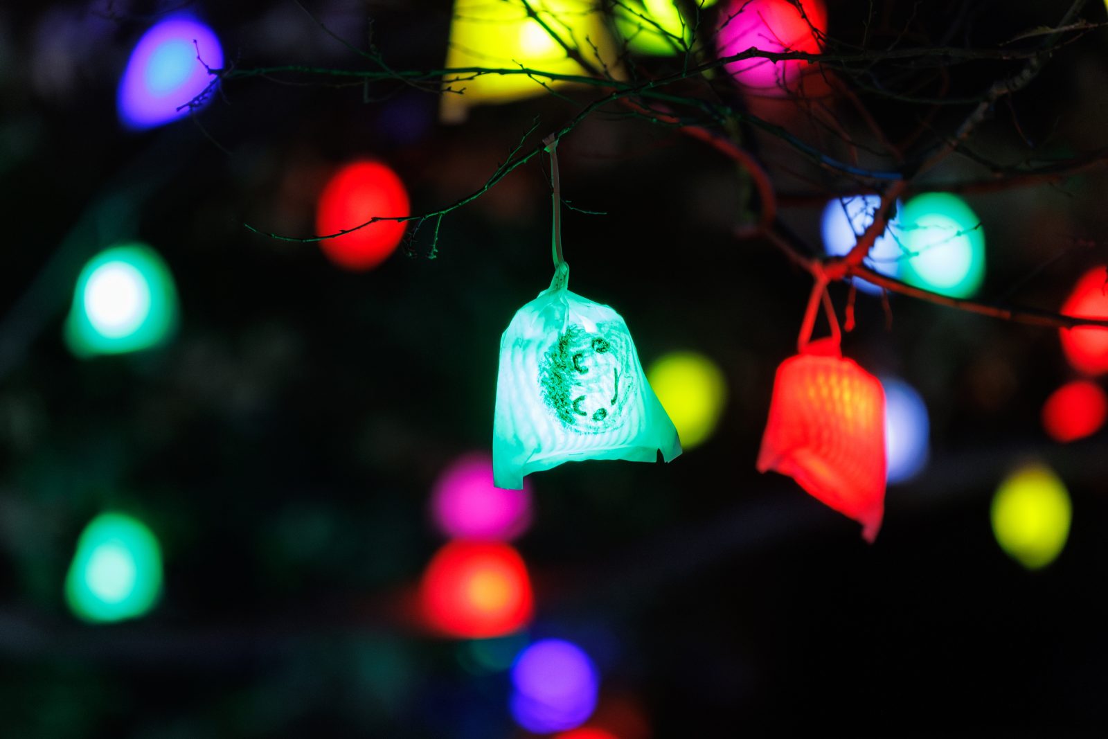 無料壁紙 光の実（水色）。PCとデスクトップ壁紙に最適な4K高画質の無料壁紙。三重県津市のそうぶんの月灯りで撮影したフリー写真素材