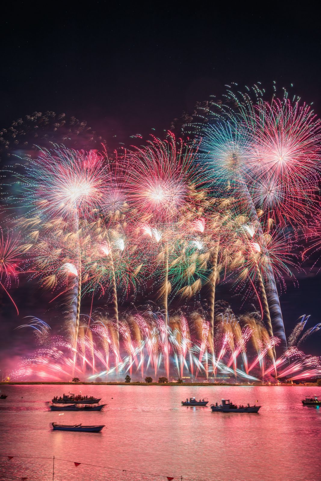 桑名水郷花火大会の写真「ピンクに染まる夜空と揖斐川の花火」