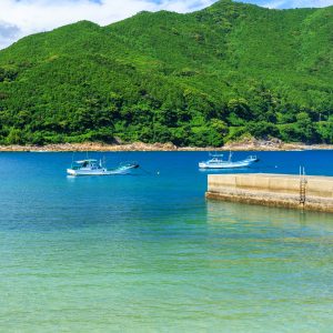 新鹿海水浴場の写真「のどかな港町の漁港」