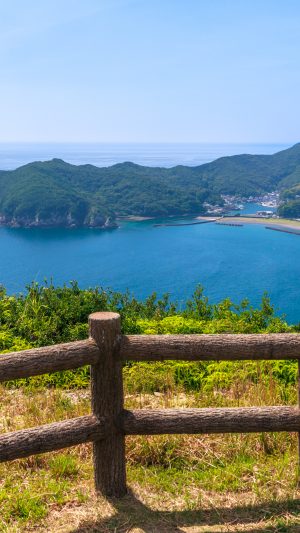 展望台越しに眺める相賀浦ニワ浜