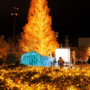 無料壁紙 マルシェで賑わう広場。PCとデスクトップ壁紙に最適な4K高画質の無料壁紙。三重県松阪市の鈴の森公園で撮影したフリー写真素材