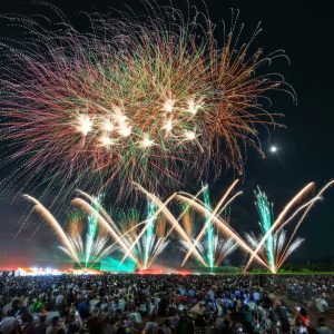 シリーズ６_夜空に咲くひまわり