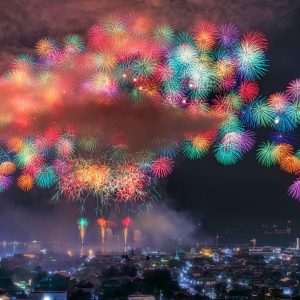 おわせ港まつりの写真「2024年の彩色千輪菊」