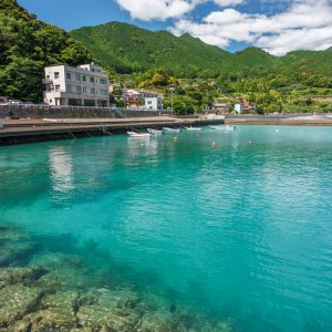 新鹿海水浴場の写真「良き田舎の新鹿漁港」