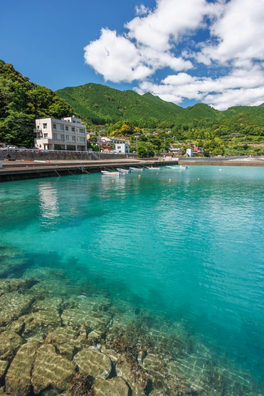 新鹿海水浴場の写真「良き田舎の新鹿漁港」