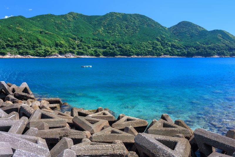 新鹿海水浴場の写真「青々とした山と澄んだ海」