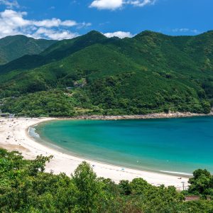 新鹿海水浴場の写真