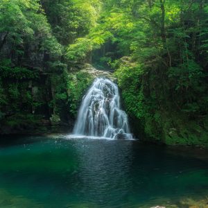 新緑に輝く千手滝