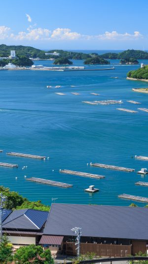 新緑に染まる鳥羽湾