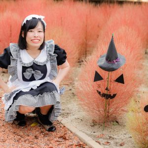 松阪農業公園ベルファームのハロウィンが10/31まで開催 🎃 コキアのオバケが新登場 ✨️