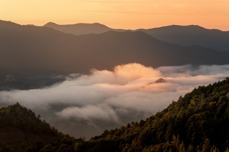 感謝の丘の写真「大台町を包む雲海」