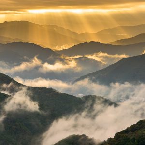 感謝の丘の写真「神々しいご来光と雲海」