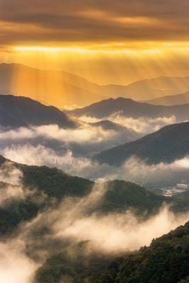 感謝の丘の写真「神降臨のようなご来光と雲海」