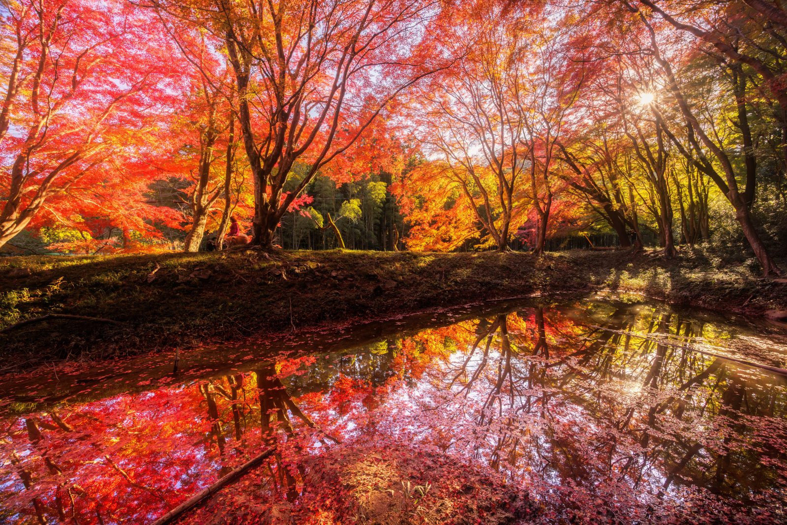 長徳寺