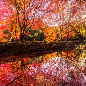 長徳寺の写真