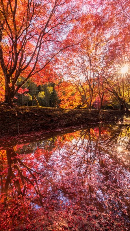 無料スマホ壁紙「紅葉の水面鏡」