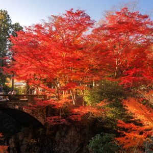 河内渓谷の写真