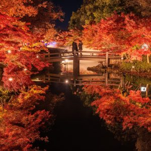 鏡池の紅葉ライトアップを橋から眺める人