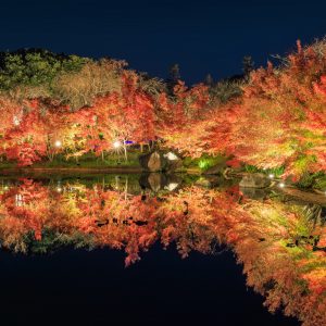 シンメトリーな紅葉のリフレクション