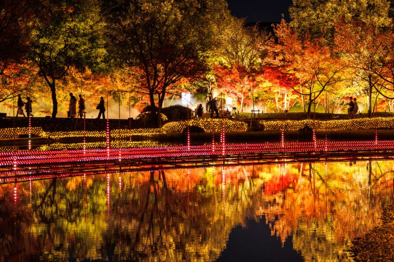 なばなの里の写真「光の大河の水面に映る紅葉」