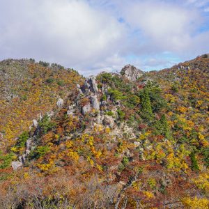 仙ヶ岳の写真「西峰と東峰」