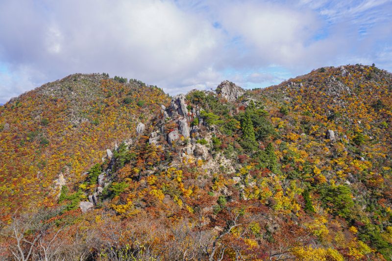 仙ヶ岳の写真「西峰と東峰」